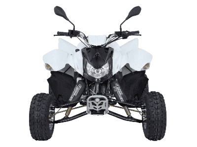 купить Квадроцикл SYM QuadRaider 300 SD в Москве - фото 