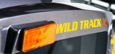 купить Квадроцикл MOTOLAND 200 Wild Track X Pro (2022) в Москве - фото 