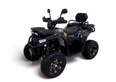 купить Квадроцикл MOTAX Grizlik W200 LUX в Москве - фото 