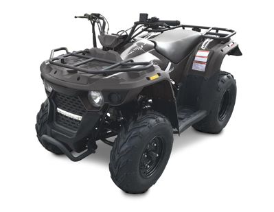 купить Квадроцикл LINHAI-YAMAHA M150 в Москве - фото 