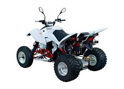 купить Квадроцикл SYM QuadRaider 450 в Москве - фото 