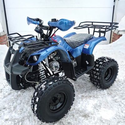 купить Квадроцикл MOTOLAND 125 Fox A в Москве - фото 