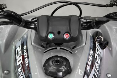 купить Квадроцикл SHARMAX Raizer Race Cup 250 в Москве - фото 