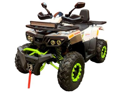купить Квадроцикл TAO MOTOR ATV 200 Pro в Москве - фото 