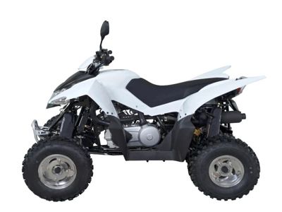 купить Квадроцикл SYM QuadRaider 300 SS в Москве - фото 