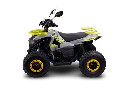 купить Квадроцикл AVANTIS Ray 8 Lux в Москве - фото 