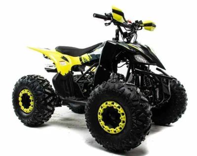 купить Квадроцикл MOTOLAND 125 Raptor в Москве - фото 