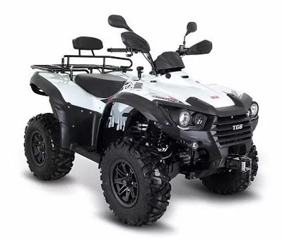 купить Квадроцикл TGB Blade 500 SL (ПСМ) в Москве - фото 
