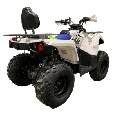 купить Квадроцикл MOTOLAND Shark 200 в Москве - фото 