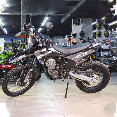 купить Мотоцикл кроссовый эндуро REGULMOTO Sport-003 PR 300 в Москве - фото 