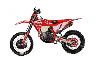 купить Мотоцикл кроссовый эндуро HASKY F6 Racing 175FMN PR300 в Москве - фото 