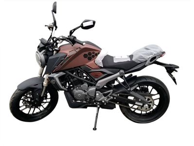 купить Мотоцикл RACER RC250XZR-X КАЙМАН ENDURO в Москве - фото 