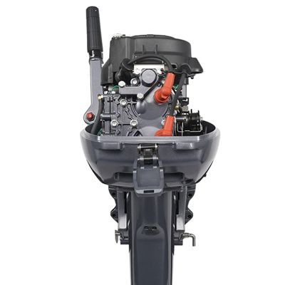 купить 2х-тактный лодочный мотор ALLFA CG T9.9 в Москве - фото 