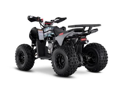купить Квадроцикл SHARMAX Cross 180 RX в Москве - фото 