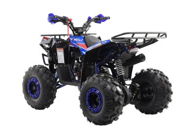 купить Квадроцикл MOTAX Grizlik A125 в Москве - фото 