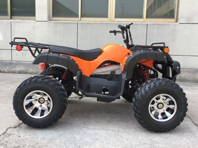 купить Электроквадроцикл GREENCAMEL Сахара A2200 в Москве - фото 