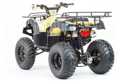 купить Квадроцикл MOTOLAND 250 Adventure (2021 Г.) в Москве - фото 