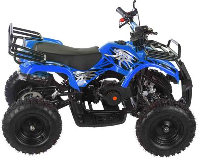 купить Квадроцикл MOTAX ATV Mini Grizlik X-16 в Москве - фото 