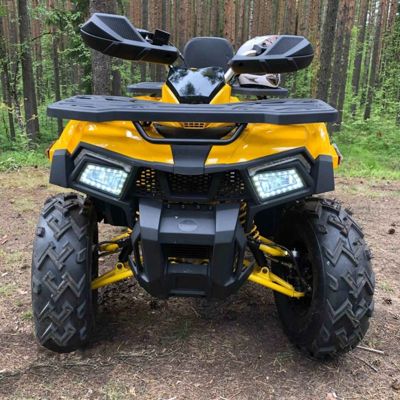 купить Квадроцикл MOTOLAND 200 Wild Track X в Москве - фото 