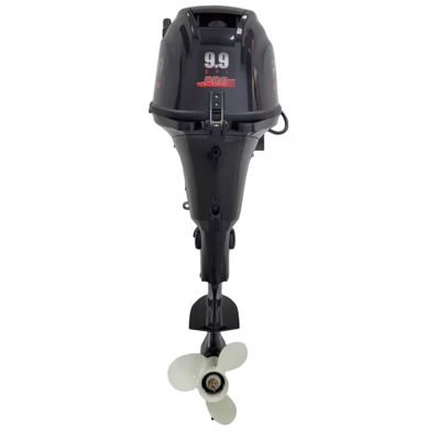 купить 4х-тактный лодочный мотор PARSUN F9.9ABMS-EFI в Москве - фото 