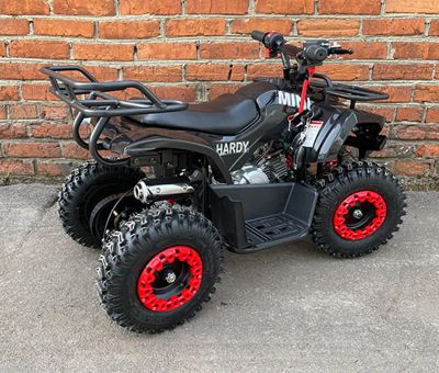 купить Квадроцикл MOWGLI Mini Hardy 4T в Москве - фото 