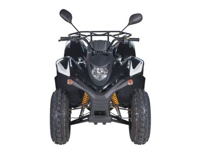 купить Квадроцикл BALTMOTORS Jam 100 в Москве - фото 