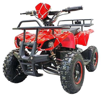 купить Электроквадроцикл GREEN CAMEL Гоби K21 в Москве - фото 