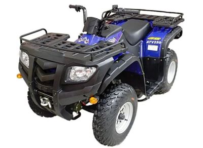 Квадроцикл ARMADA ATV 250L в Москве