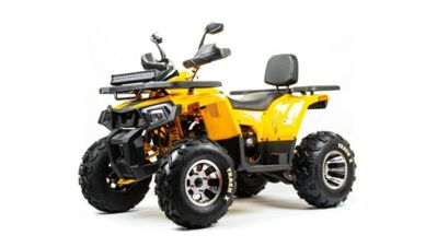 Квадроцикл BISON Track X PRO в Москве