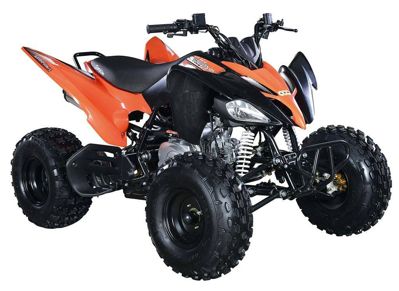 купить Квадроцикл ABM Scorpion 125M в Москве - фото 