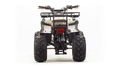 купить Квадроцикл MOTOLAND 150 Fox в Москве - фото 