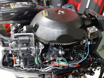 купить 2х-тактный лодочный мотор GOLFSTREAM T 30 AFWS Б/У в Москве - фото 