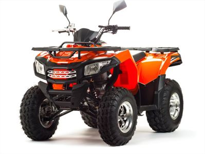 купить Квадроцикл MOTOLAND 200 Max в Москве - фото 