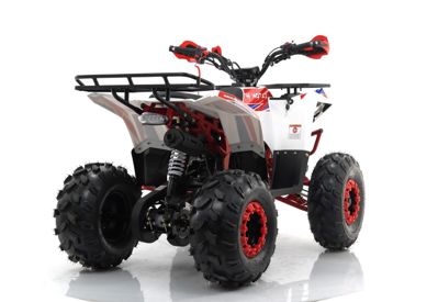 купить Квадроцикл MOTAX Grizlik A125 в Москве - фото 