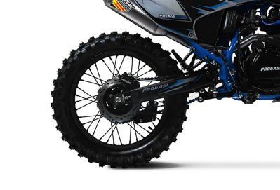 купить Мотоцикл кроссовый эндуро ПРОГАСИ Palma 250 SE в Москве - фото 
