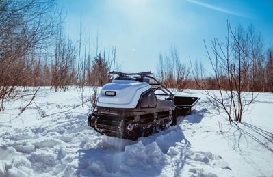 купить Мотобуксировщик TINGER Dog 15 л.с. в Москве - фото 