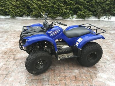 купить Квадроцикл GRIZZLY 125 в Москве - фото 