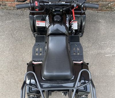 купить Квадроцикл MOWGLI Mini Hardy 4T в Москве - фото 