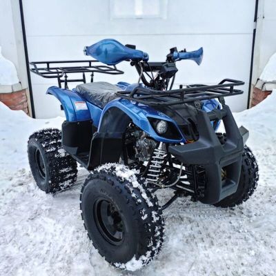 купить Квадроцикл MOTOLAND 125 Fox A в Москве - фото 