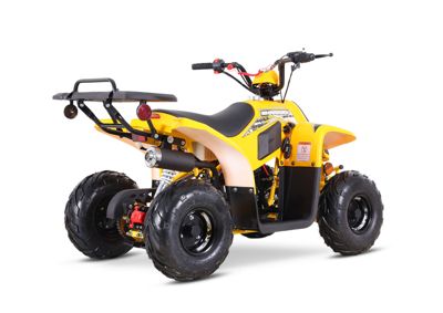 купить Квадроцикл SHARMAX 130 Cross в Москве - фото 