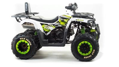 купить Квадроцикл MOTOLAND ATV 200 Wild Track в Москве - фото 