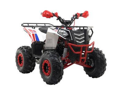 купить Квадроцикл MOTAX Grizlik A125 в Москве - фото 