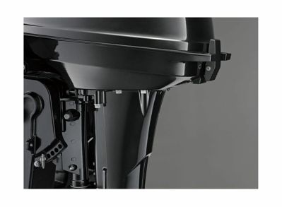 купить 2х-тактный лодочный мотор SUZUKI DT9.9AS в Москве - фото 