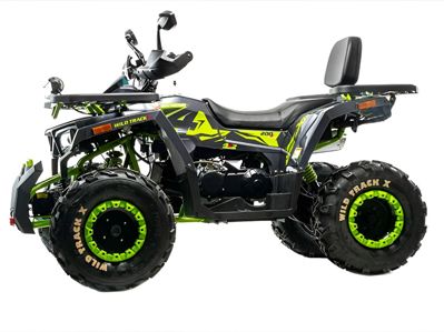 купить Квадроцикл MOTOLAND 200 Wild Track X Winch в Москве - фото 