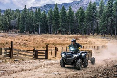 купить Квадроцикл KAWASAKI Brute Force 750 EPS (2024) (ПСМ) в Москве - фото 