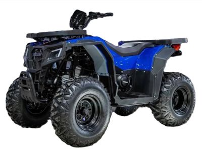 купить Квадроцикл ПРОГАСИ Race Jumper 200 SE в Москве - фото 