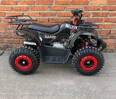 купить Квадроцикл MOWGLI Mini Hardy 4T в Москве - фото 