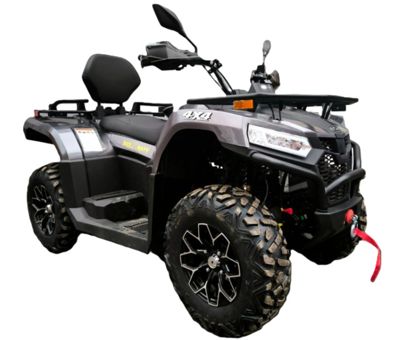 Квадроцикл BIZON ATV 450 LUX EPS 4×4 в Москве