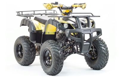 купить Квадроцикл MOTOLAND 250 Adventure (2021 Г.) в Москве - фото 