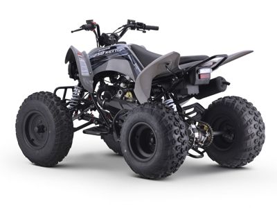 купить Квадроцикл SHARMAX Raizer Race Cup 250 в Москве - фото 